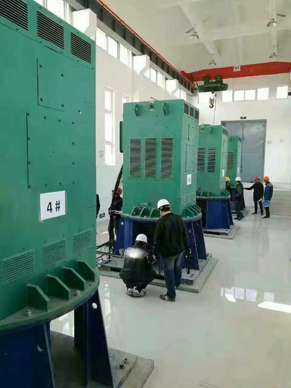 上城某污水处理厂使用我厂的立式高压电机安装现场