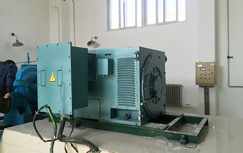 上城某水电站工程主水泵使用我公司高压电机